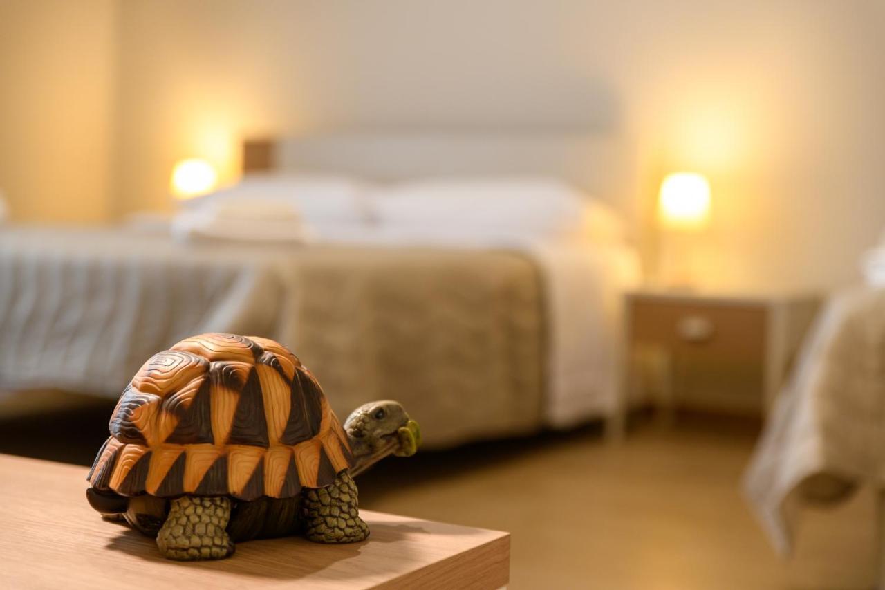 Bee Happy - Bed And Breakfast Цафферана-Етнеа Екстер'єр фото